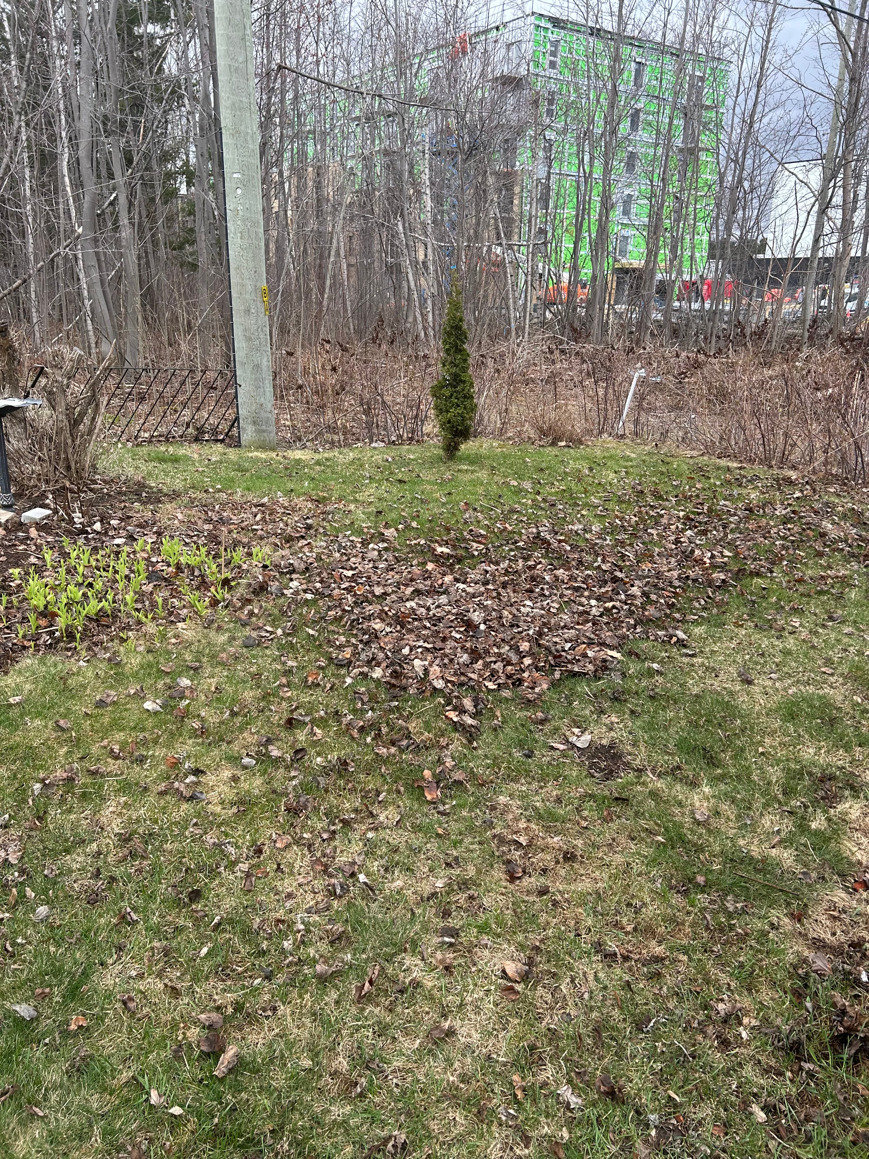 Ouverture de terrain - Image 2