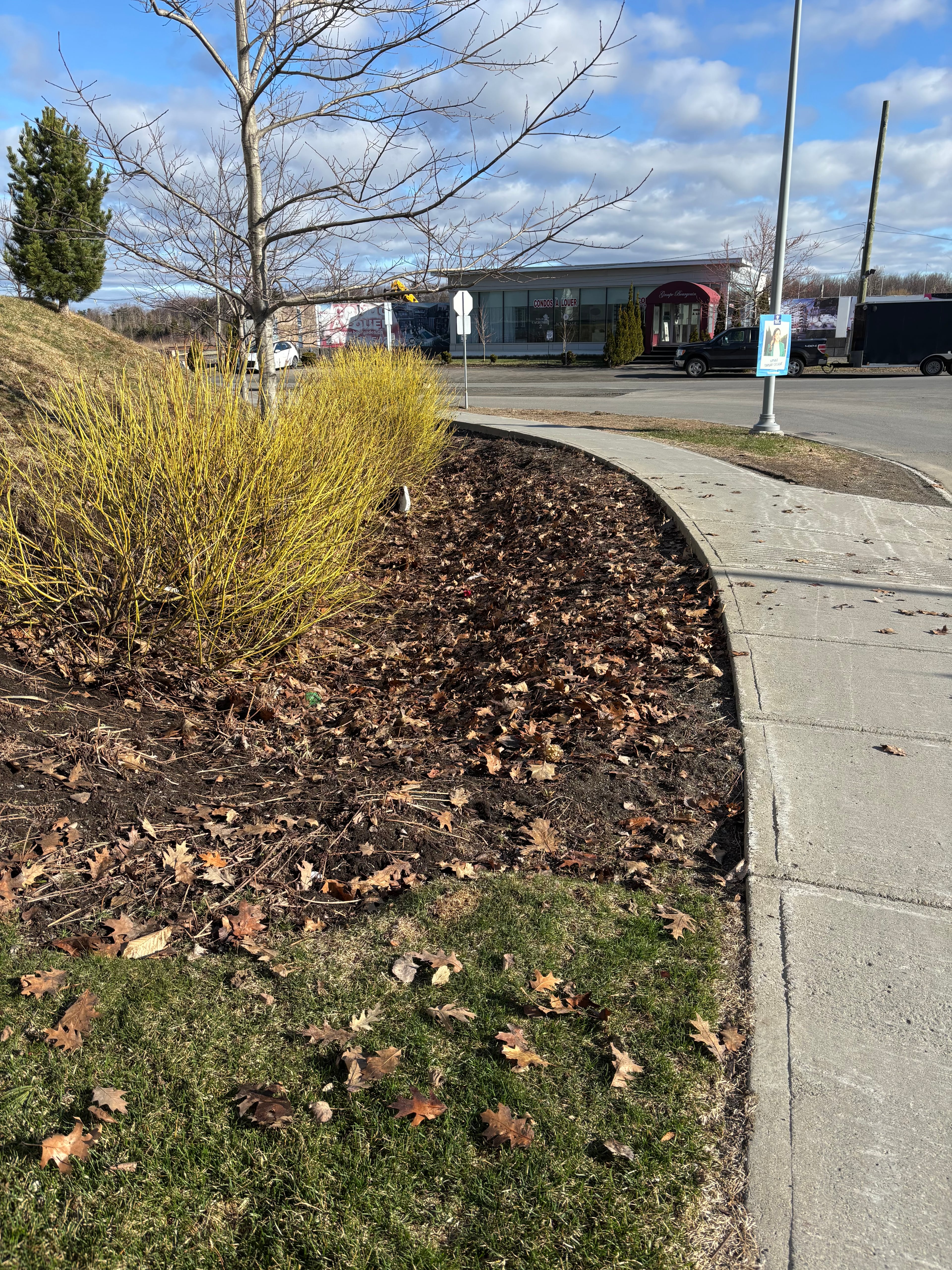 Ouverture de terrain - Image 7