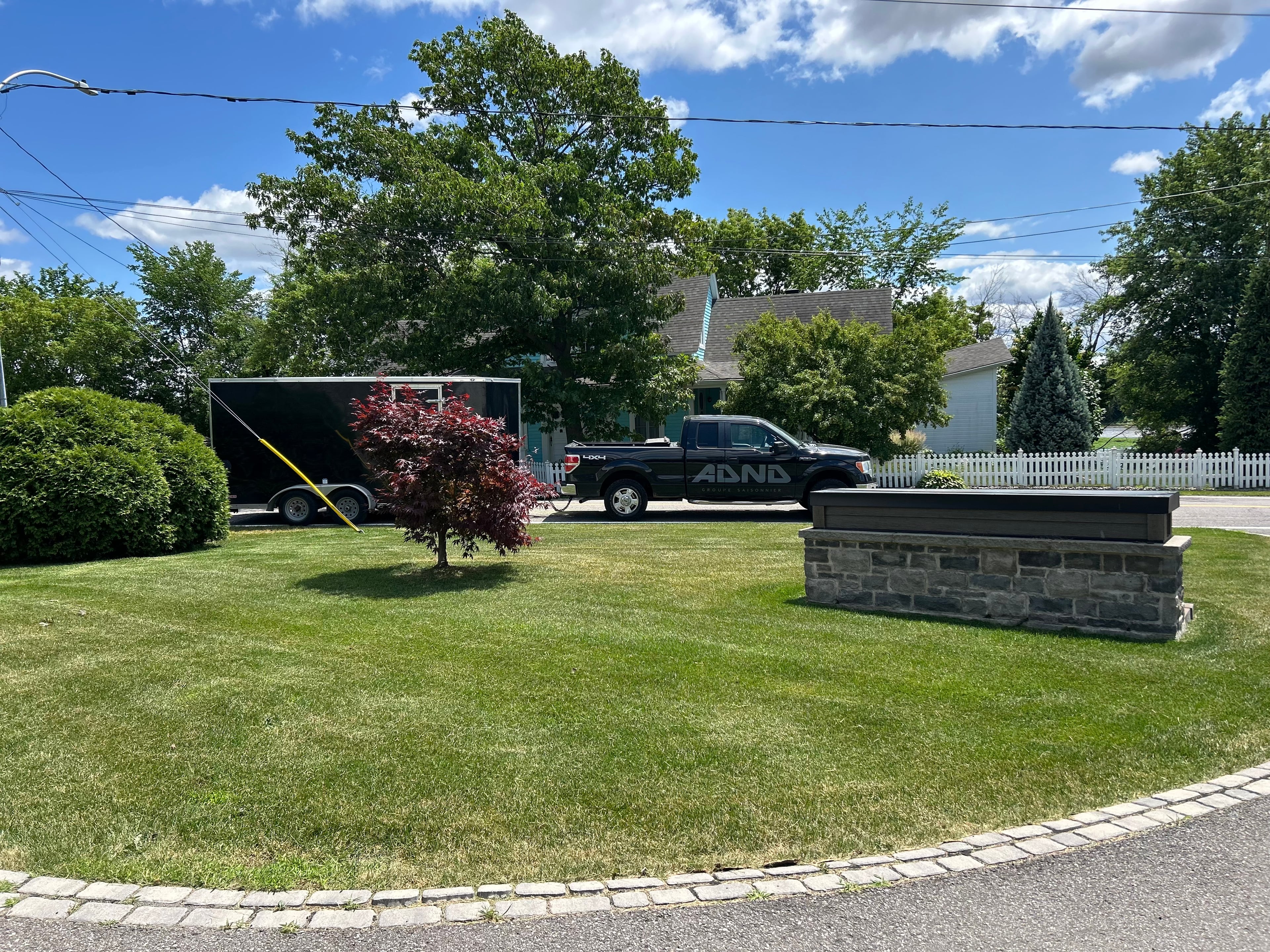 Tonte de pelouse - Image 1